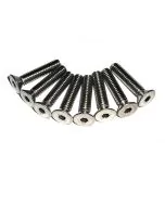 Screw for Door Lock MK3 with Special Cutting Thread for Classic Mini