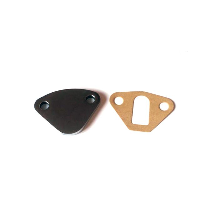 Mini Fuel Pump Blanking Plate